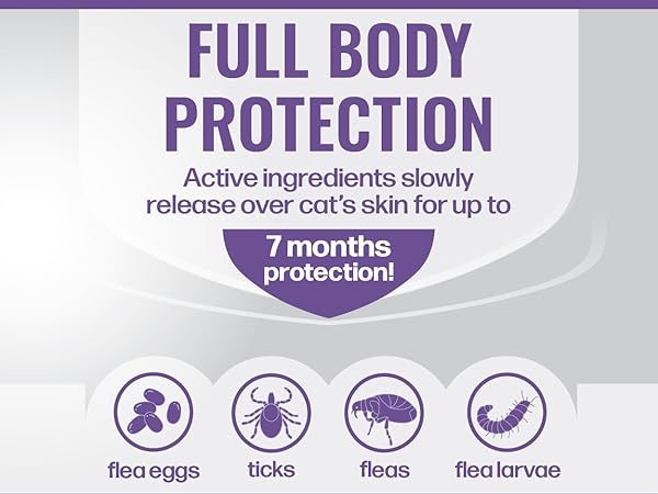 Full Body Protection