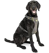 Kurgo Car Safety Dog Harness, Crash Tested Harness for Dogs, Integrated Dog seat Belt Tether Loop...