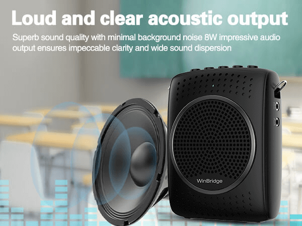 portable wireless mic and speaker