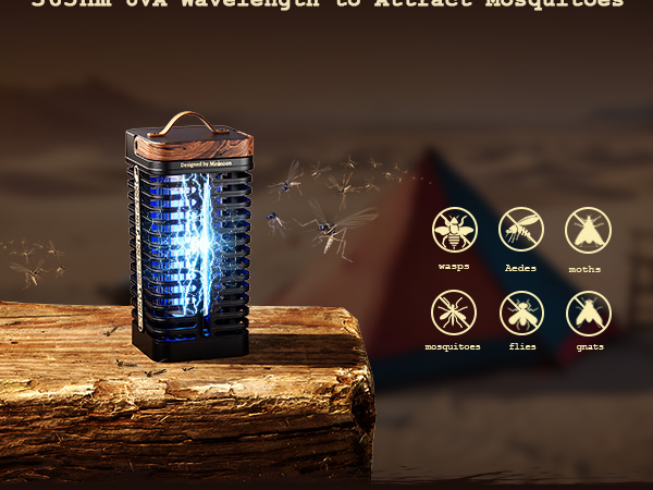 mosquito zapper