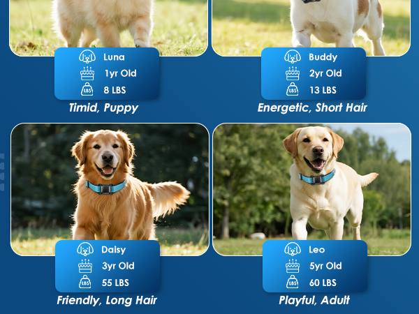 Relaxants Carrying Case