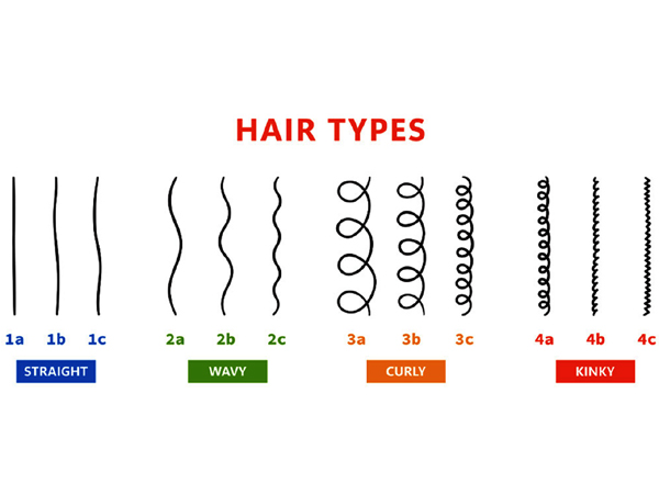 hair type chart