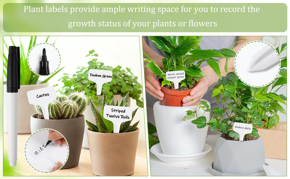 Oligei Plant Labels 120 PCS