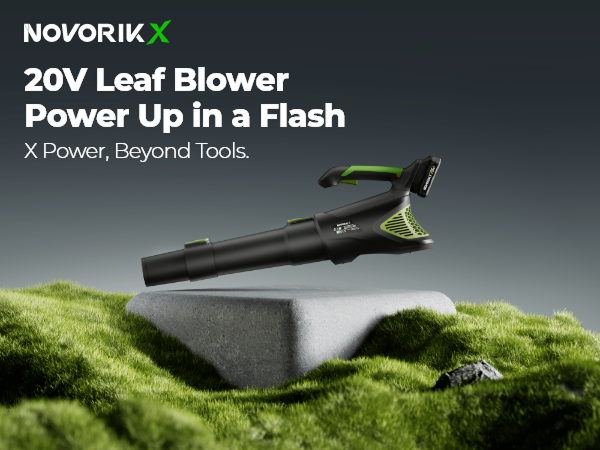 20V Leaf Blower
