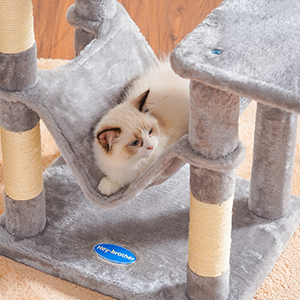 cat tree