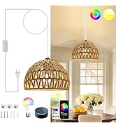 ZSLAIFU Hanging Lamp Plug in, Rattan Hanging Lights, Bulb Included, Woven Pendant Light with Plug...