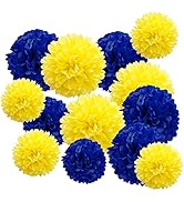Blue and Yellow Tissue Paper Pom Poms Decorations, 12