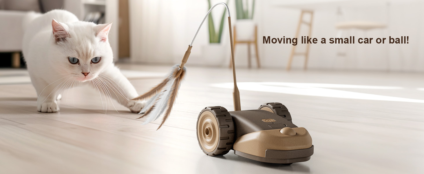 Interactive Cat Toy