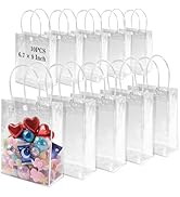 MAQIHAN 10 PCS Clear Goodie Bags with Handles - Plastic Party Favor Bag Reusable Transparent PVC ...