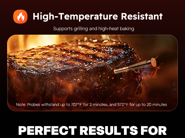 Meat Thermometer