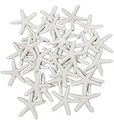 LJY 25 Pieces White Resin Pencil Finger Starfish for Wedding Decor, Home Decor and Craft Project,...