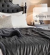 Electric Heated Blanket