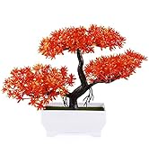 Frjjthchy Mini Artificial Bonsai Tree Plants with Plastic Cement Pots for Home Office Décor (Orange)