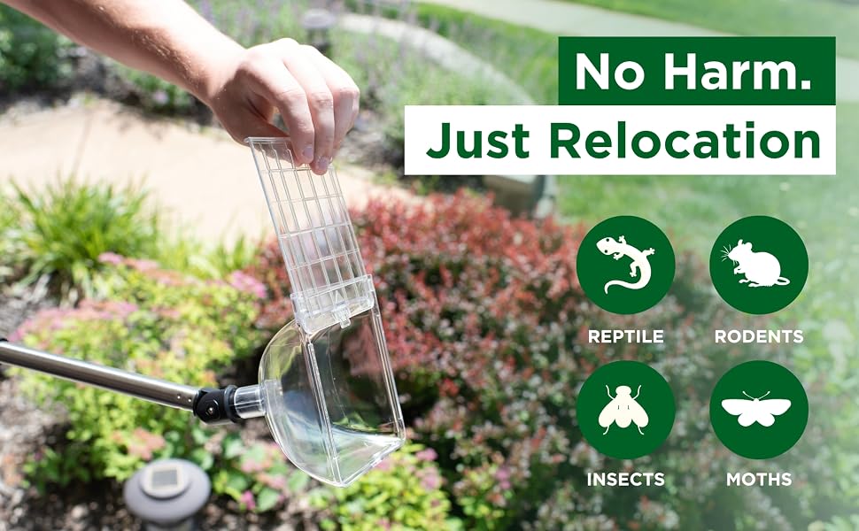 No harm, just relocation. Works on reptiles, rats, mice, insects, moths, etc. 