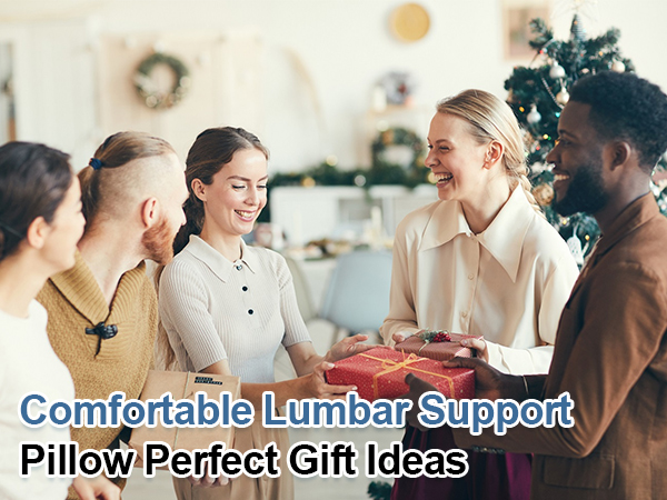 Lumbar Support Pillow for Car