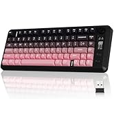 ZIYOU LANG M75 Wireless Gaming Keyboard, RGB Backlit Rechargeable 2000mAh Battery, Small Membrane...