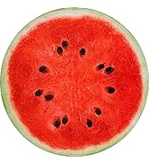 Vessia Watermelon Printed Throw Blanket, 60 inch Realistic Funny Round Food Blanket for Adults an...