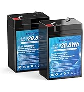 6V 4.5Ah LiFePO4 Battery 2 Pack, Intelligent BMS Rechargeable Lithium Iron Phosphate Battery for ...