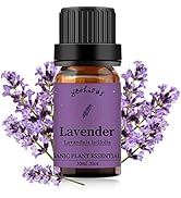 yethious Lavender Essential Oils for Diffuser &amp; Aromatherapy Pure Lavender Oil Organic Plant Oils