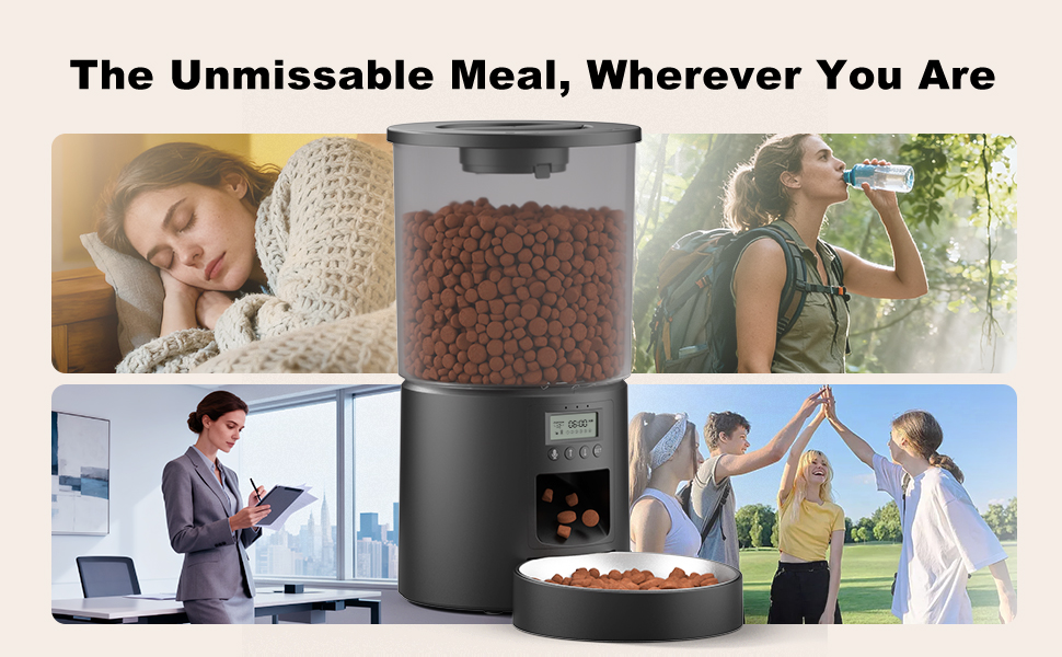 Automatic Cat Feeder