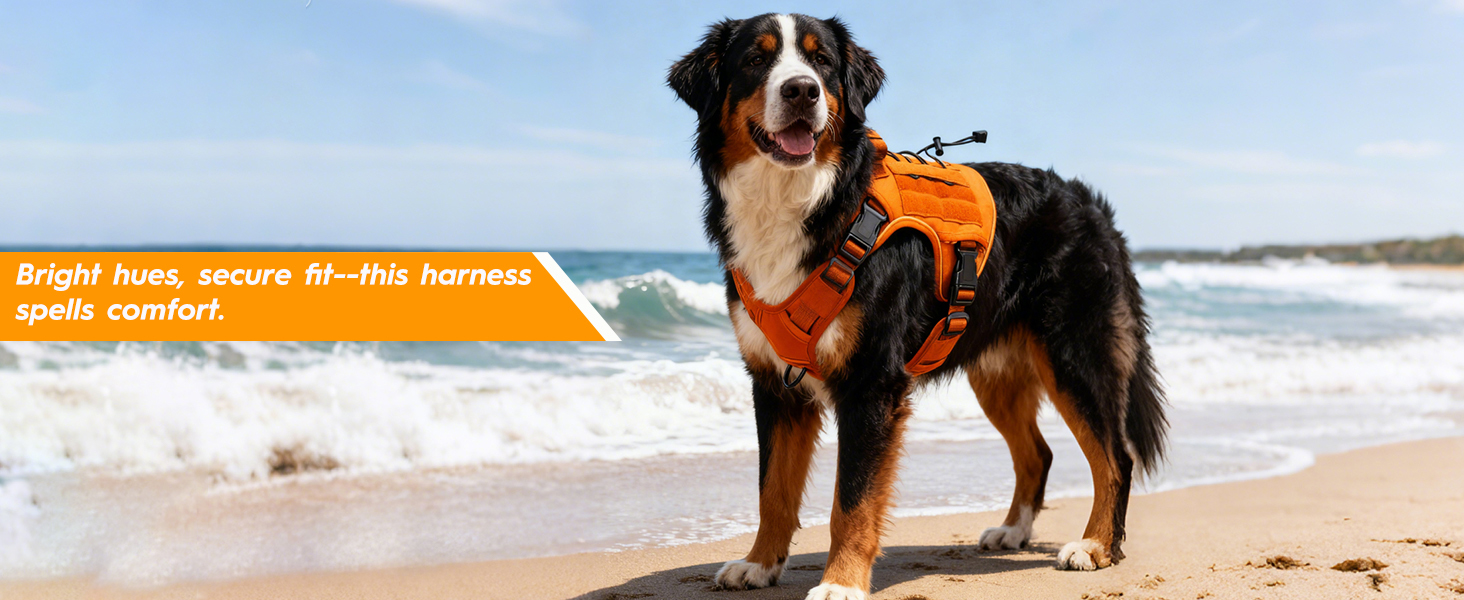 Ultra Comfortable Dog Harness,Breathable Mesh, Lightweight, Adjustable Straps for Secure Fit.