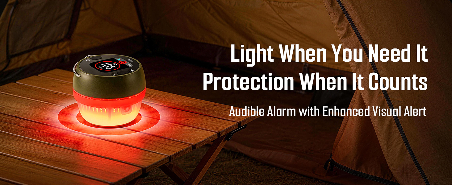 DS-X1 portable carbon monoxide detector