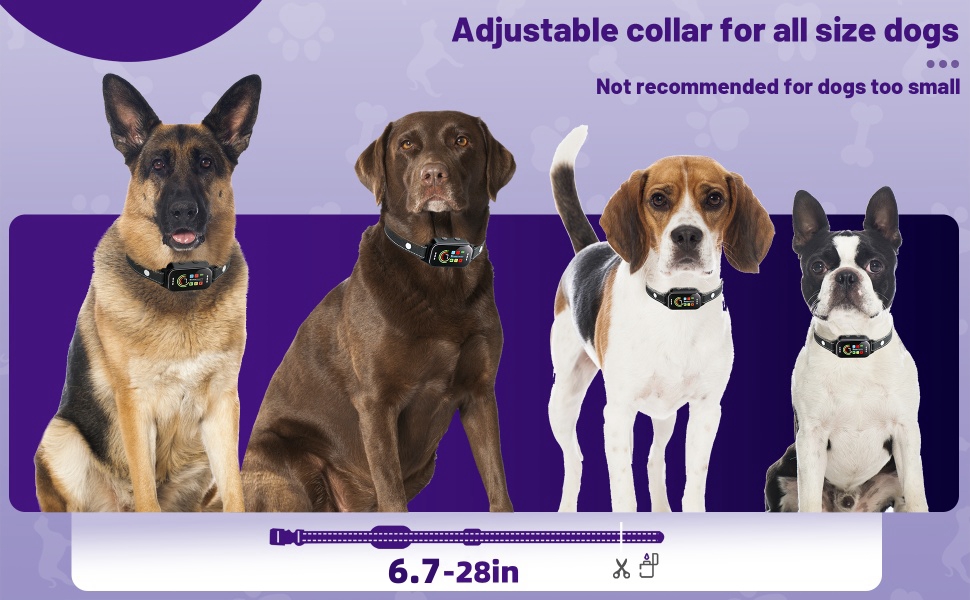 bark collar