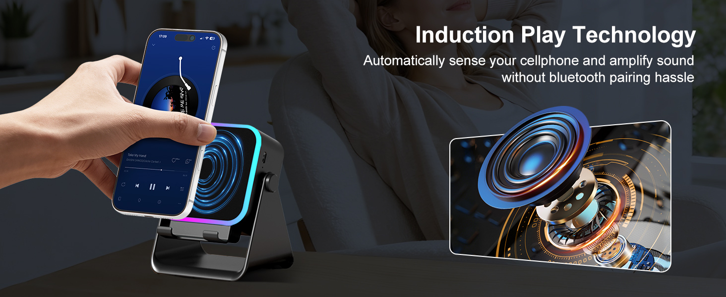 induction speaker