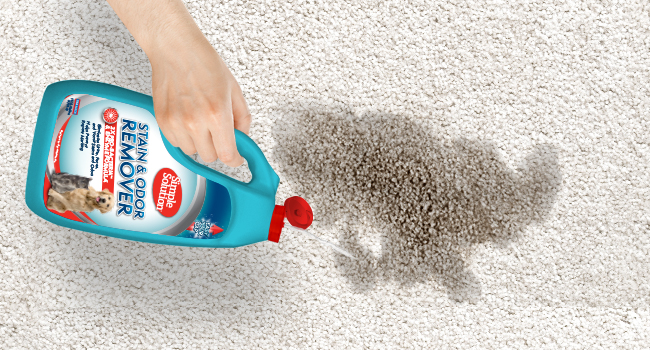 pet stain remover, dog odor spray, cat urine cleaner, enzyme cleaner, carpet spray, pee remover
