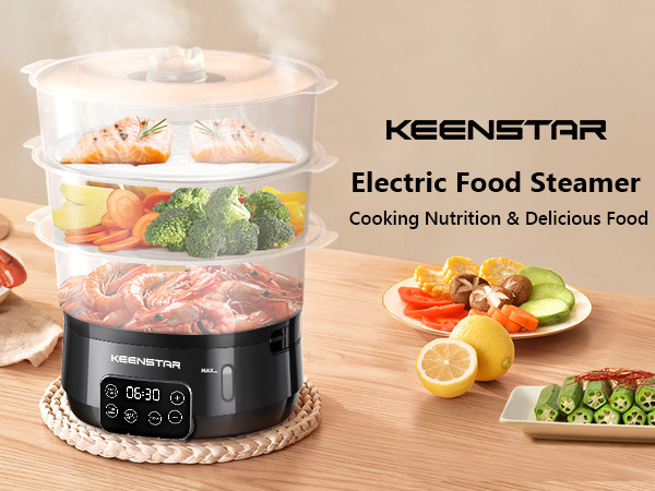 eletric food steamer