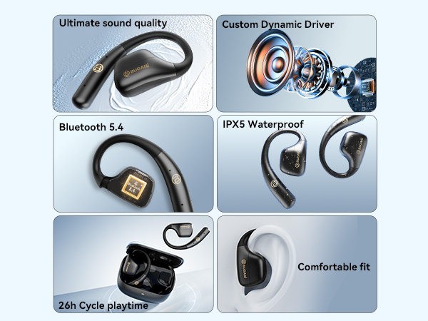 Translation Earbuds