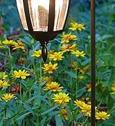 Solar Hanging Lights