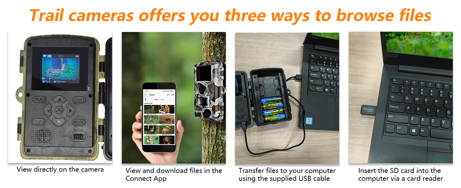 deer cameras with night vision