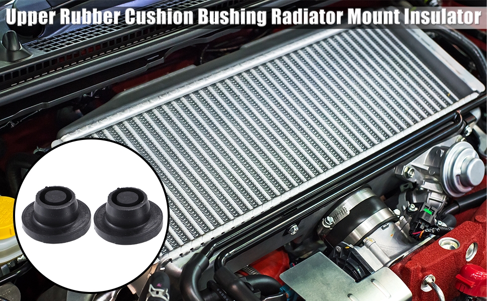 Standard Image Header With Text