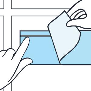 Window Fly Trap
