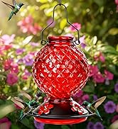 Tegarbed Glass Hummingbird Feeder for Outdoors Hanging, 25 OZ Humming Bird Nectar Feeder with 4 B...