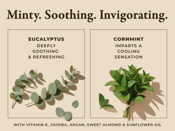 A visual display of the ingredients in this oil specifically highlighting spearmint and cornmint