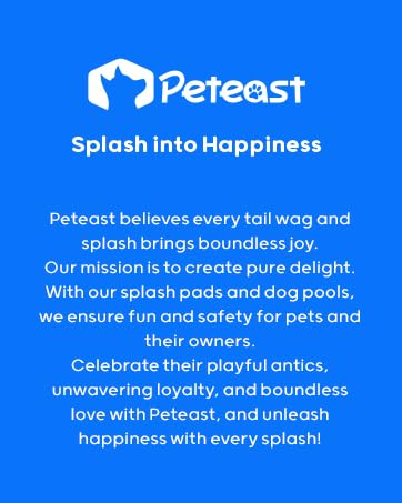 Dance with the dog splash pad, growing up in laughter, weaving the summer chapter of children&amp;#39;s fun.