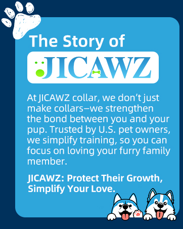 bark collar