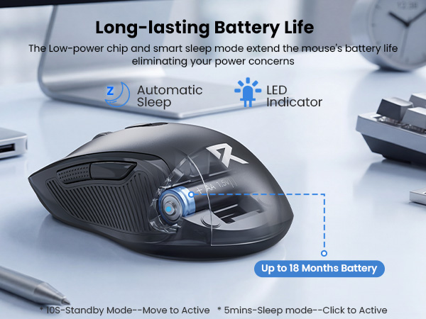 computer mouse