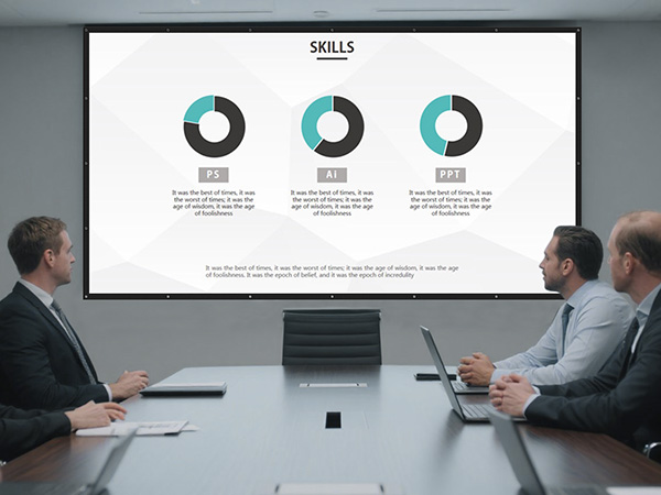 Projector Screen Black Backing