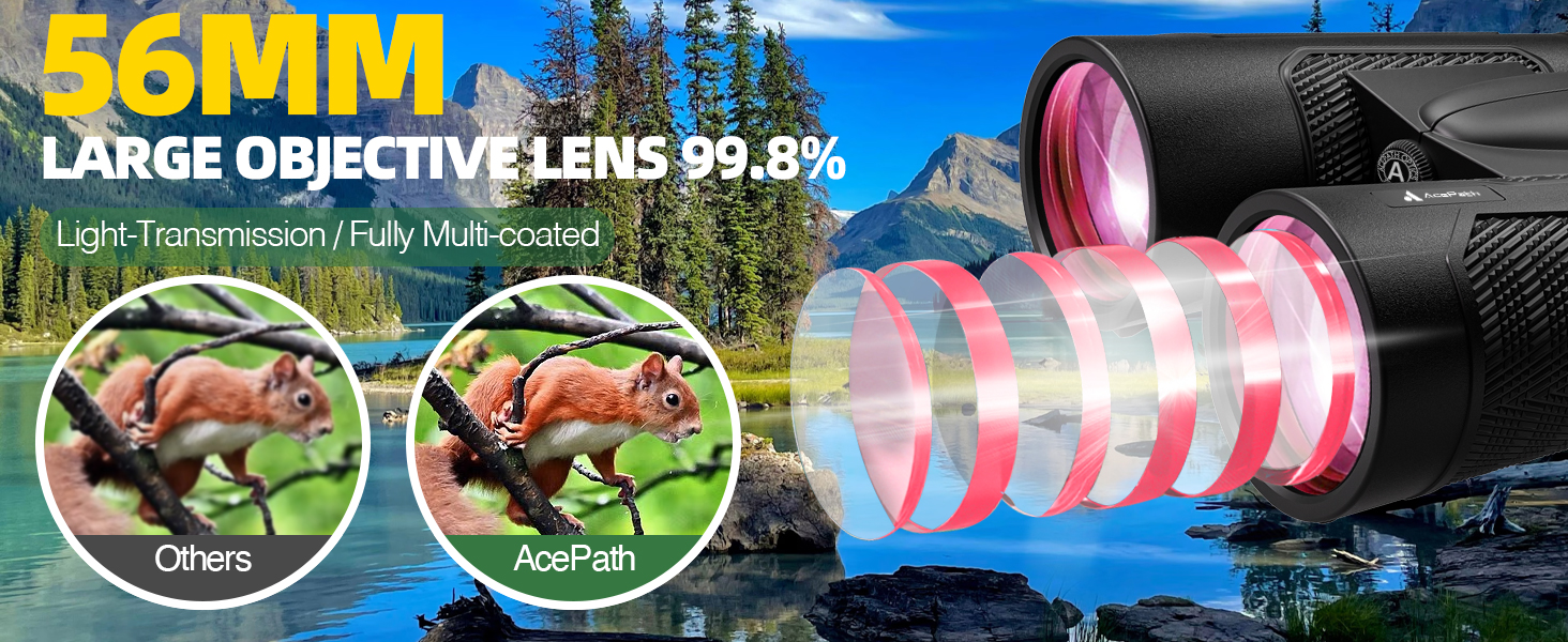 clear vision low light vision