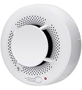 2-in-1 Smoke and Heat Detector Fire Alarms Smoke Detectors with Advanced Photoelectric Smoke Alar...
