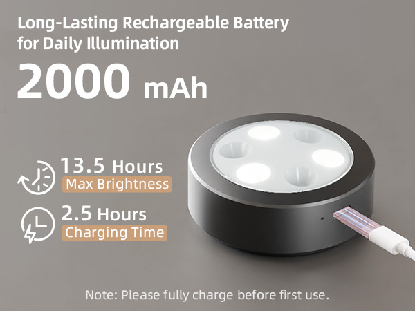 picture light battery operated