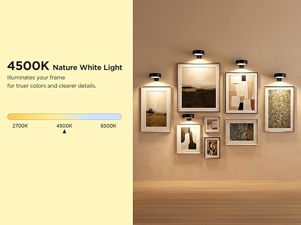 picture light