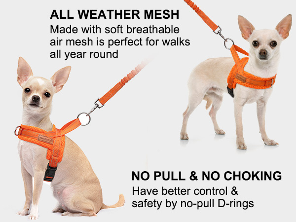 xs dog harness