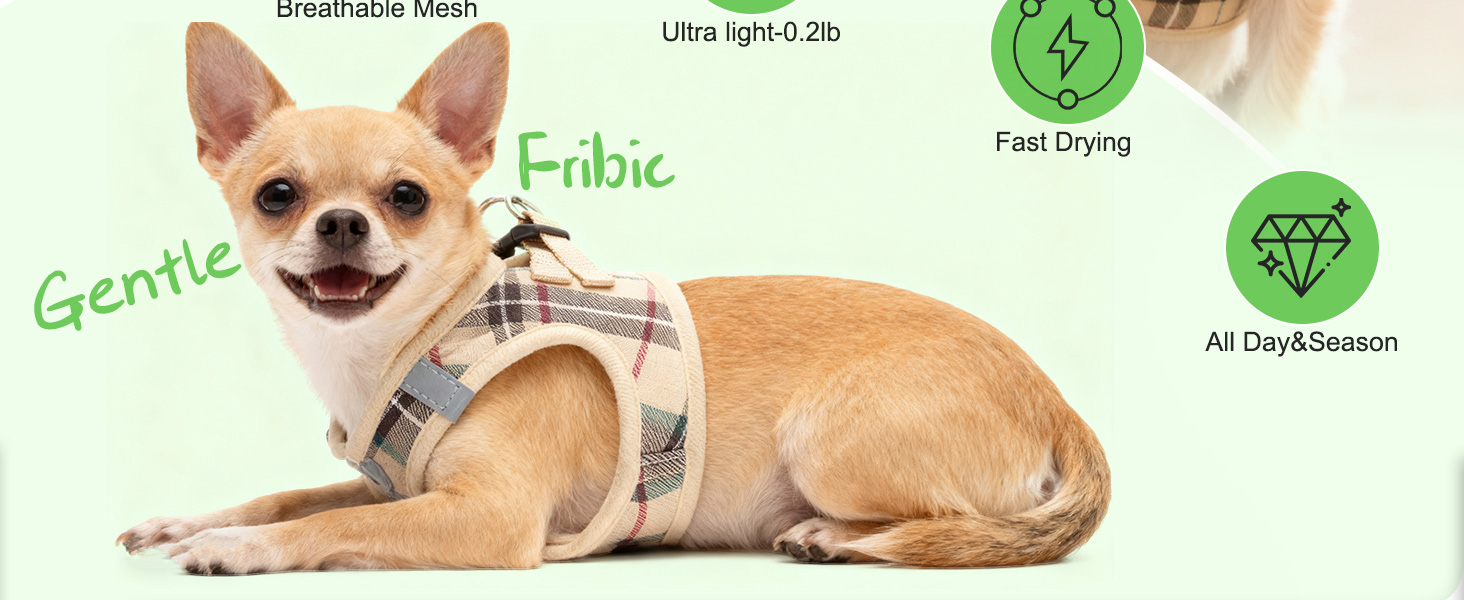 gentle frbic