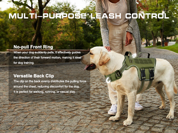 dog harness