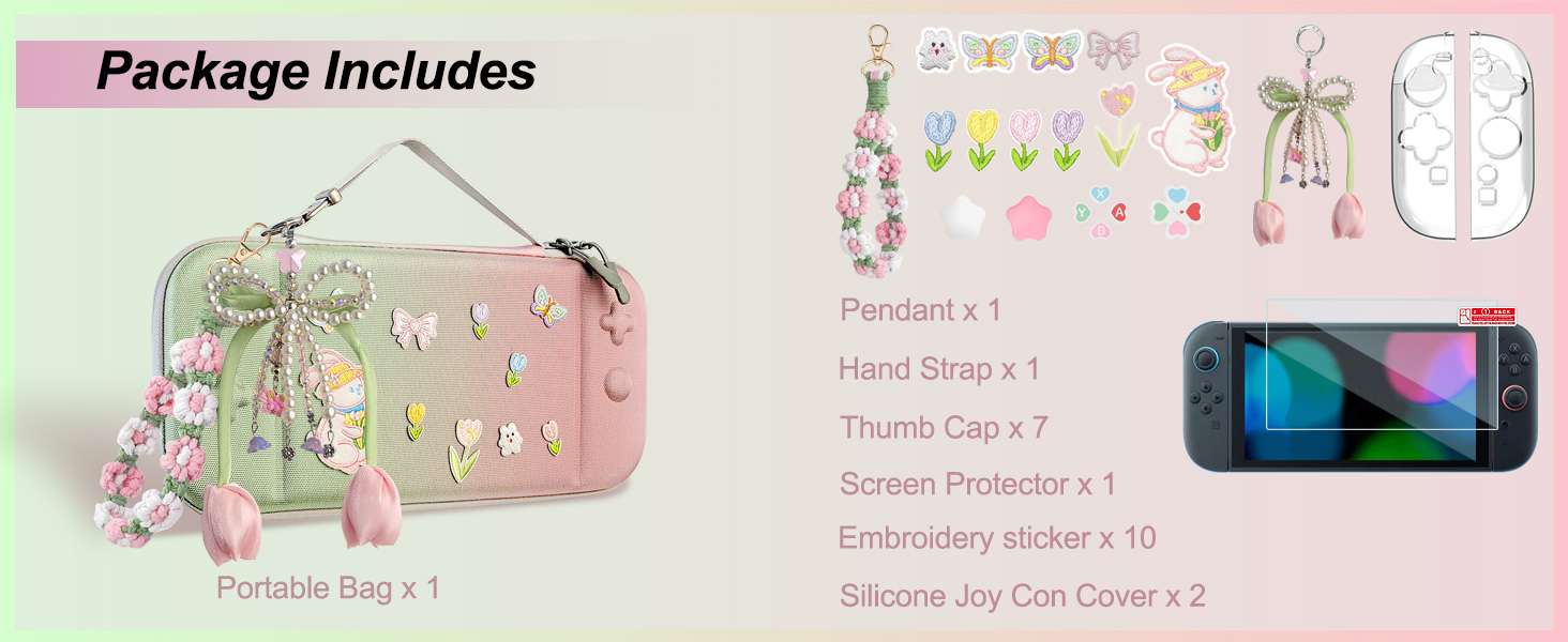 switch 2 accessories