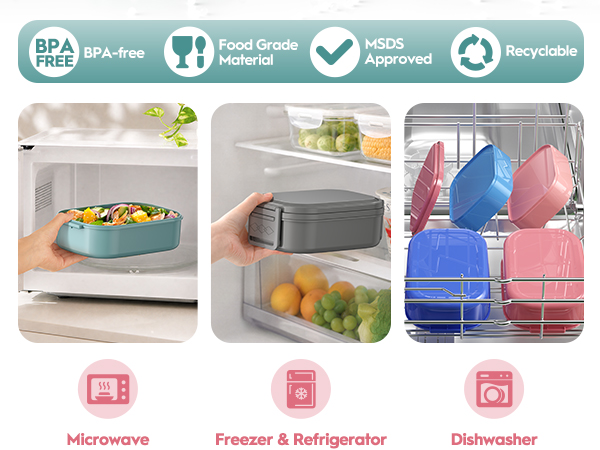 adult bento box